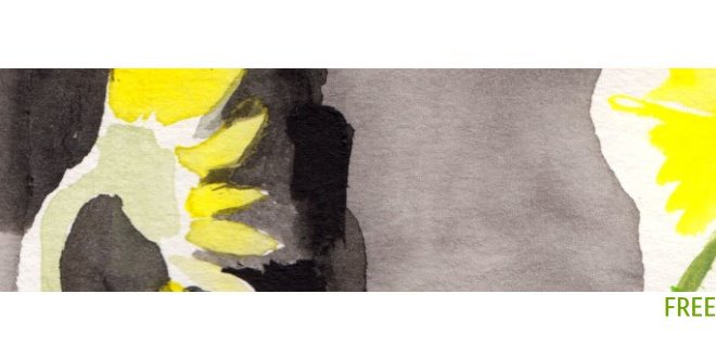 Sunflowers – Slideshow